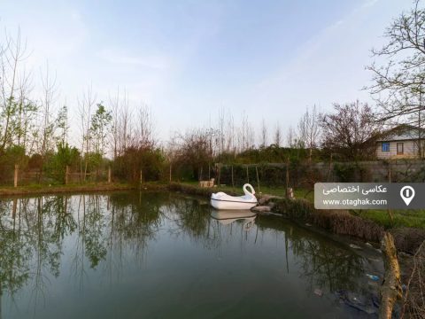 سید با امکان قایق سواری