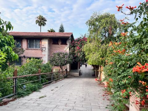 ساحلی دلنشین - حیاط
