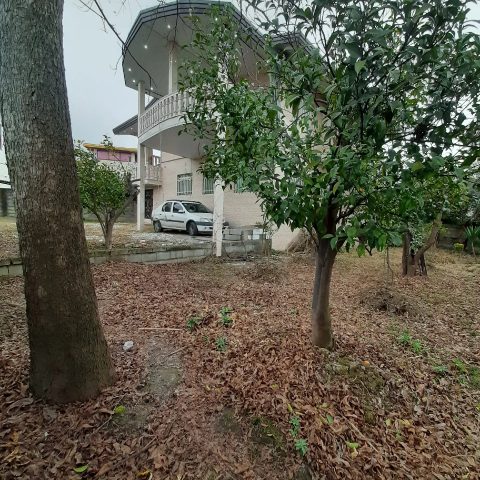 نور (2)
