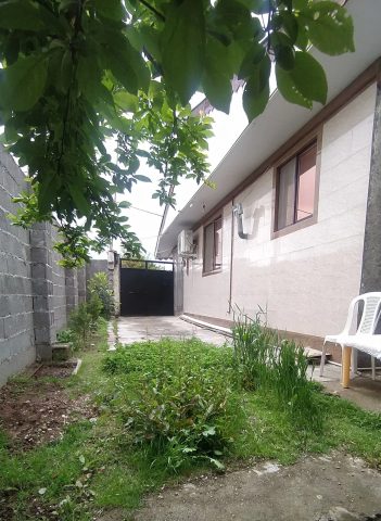 شکوفه با فوتبال دستی