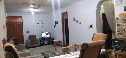شکوفه با فوتبال دستی