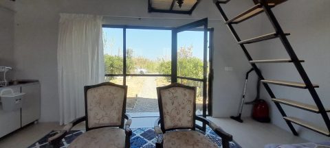 سوئیسی نفس (2)