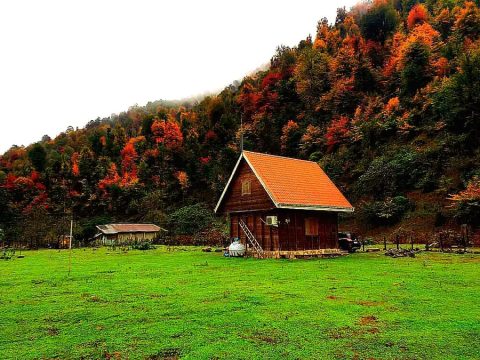 چوبی رویایی