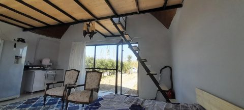 سوئیسی نفس (2)