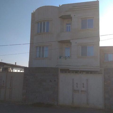 طالبی (2)