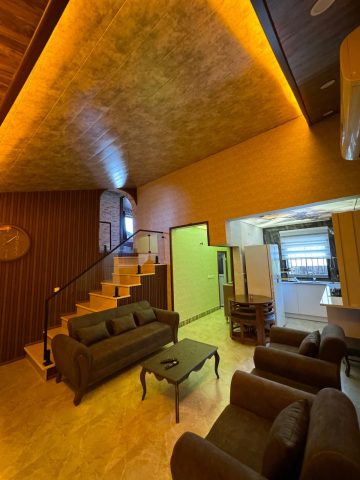 زیتون (16)