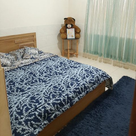 نور (2)