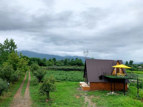 سوئیسی نیکی