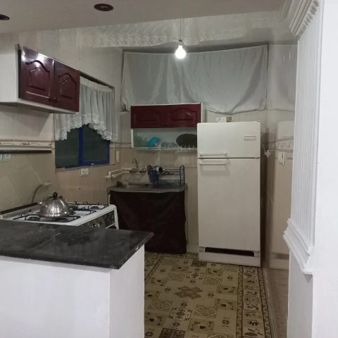 سمیم