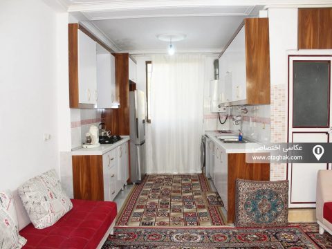 نیلوفر  سوستان